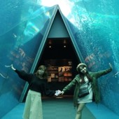 Du ngoạn "Tuyến đường kim cương" ở Nhật